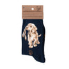 Wrendale Socks'Hopeful' Labrador Dark Size 4-7 UK