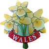 Welsh Daffodil Fridge Magnet