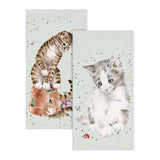 Wrendale Cat Tissues