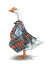 Art by Lana - Dame Goose of Glenfinnan (Greeting Card)