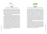 Reading Tea Leaves