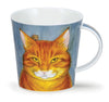 Dunoon Cairngorm Rogues Gallery Ginger Tabby