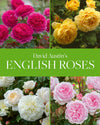 English Roses by David Austin