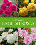 English Roses by David Austin