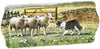 Macneil Collie & Sheep 39cm Melamine Sandwich Tray