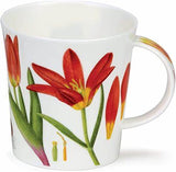 Dunoon Lomond Wild Tulips Mug