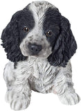 Sitting Cocker Spaniel
