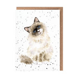 Wrendale 'Paws for Thought' Cat Card