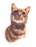 Lana Mathieson Rupert of Gloucestershire (Greeting Card)