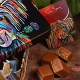 Gardiners McCoo Salted Fudge "Steven Brown Art"