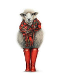 Lana Mathieson Summer in Scotland (Fine Art Print) | Scottish Sheep Print