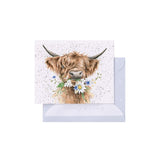 "Daisy Coo" Hightland cow Enclosure Card
