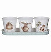 Wrendale Herb Pots Hare Set of 3