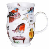 Dunoon Suffolk Birdlife Robin Mug