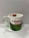 Dunoon Bute Welsh Cymru Am Byth Mug