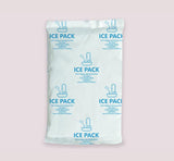 ICE PACKS 1 pack