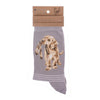 Wrendale Socks 'Hopeful' Labrador
