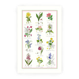 Samuel Lamont Botanic Garden Tea Towel 100% Cotton
