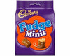 Cadbury Fudge Minis bag