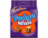 Cadbury Fudge Minis bag