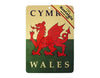 Welsh Dragon Metal Sign